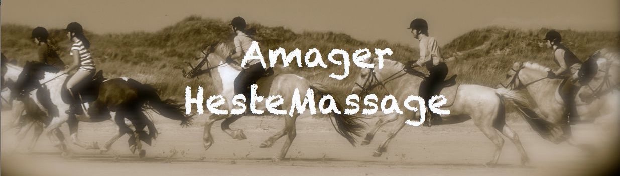 Amager Hestemassage